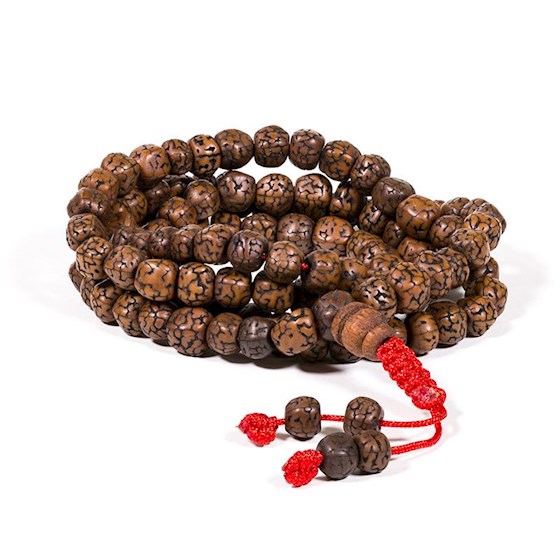 Mala Rudraksha pulido 2528 -06