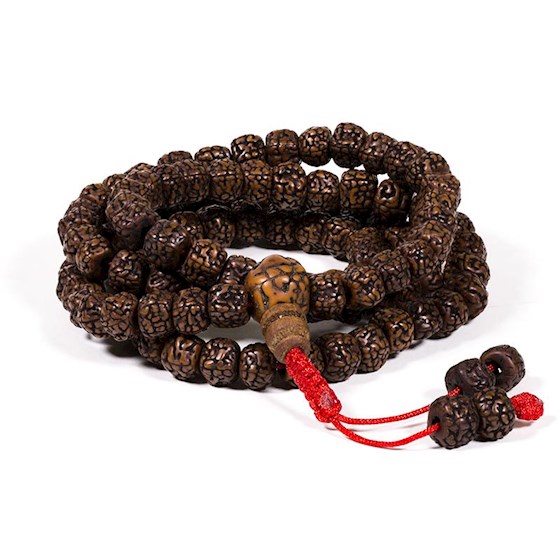 Mala Rudraksha pulido borla roja-2527