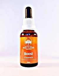 Combinación BOOST Bush 30 ml