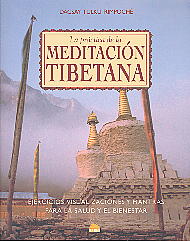 La práctica de la meditación tibetana: ejercicios, visualizaciones y mantras para la salud y el bien