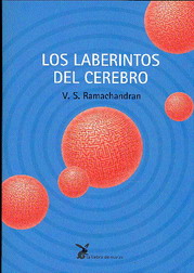 Los laberintos del cerebro