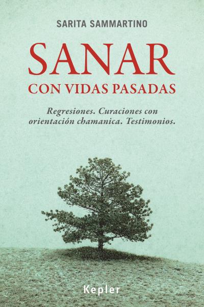 Sanar con vidas pasadas : regresiones : curaciones con orientación chamánica : testimonios