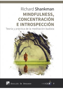 Mindfulnes, concentración e introspección