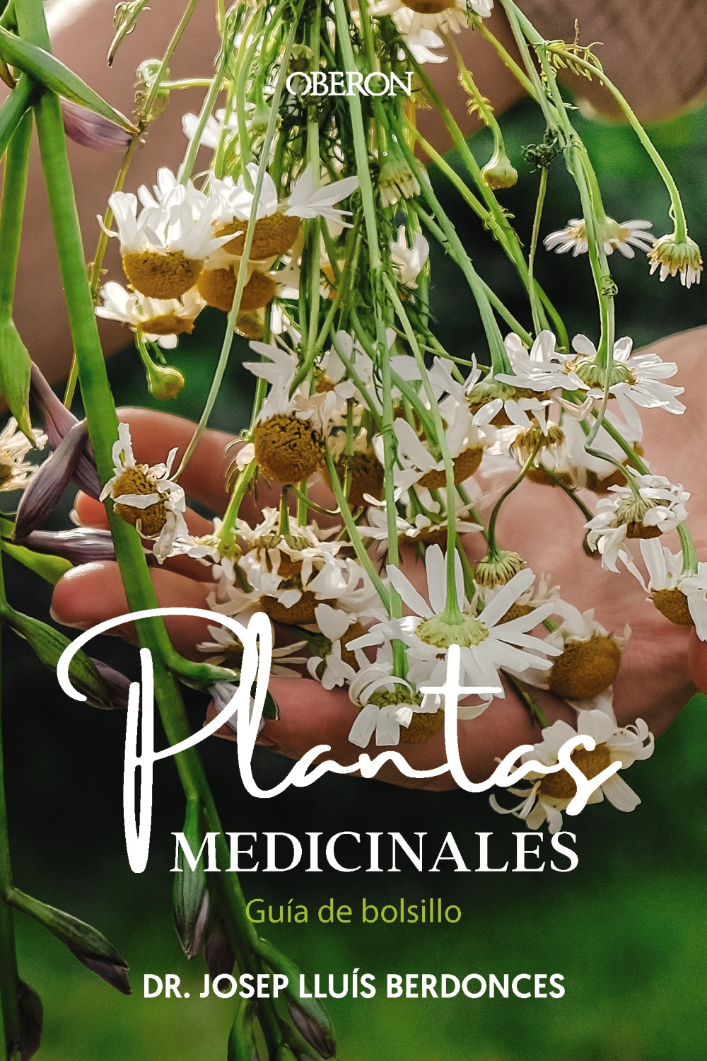 Plantas Medicinales ( Guía de bolsillo )