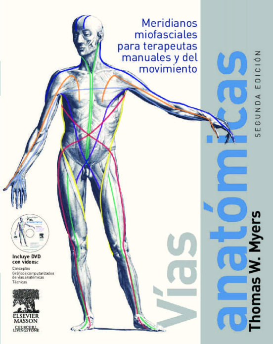 Vías anatómicas : meridianos miofasciales para terapeutas manuales y del movimiento