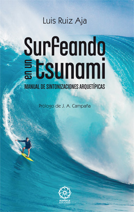 Surfeando en un tsunami : manual de sintonizacion arquetípicas
