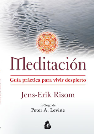 Meditación : guía práctica para vivir despierto