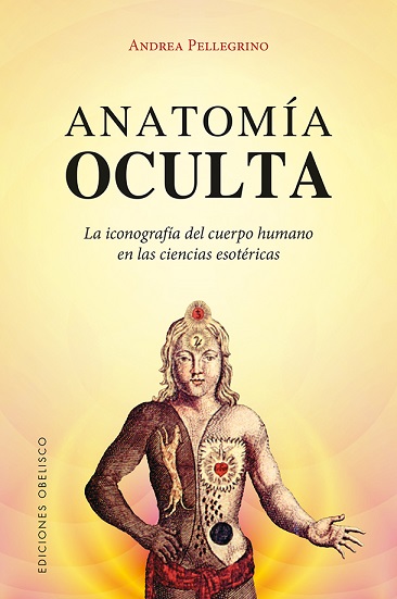 Anatomía oculta