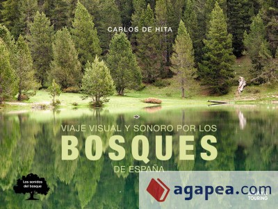 Viaje visual y sonoro por los bosques de España