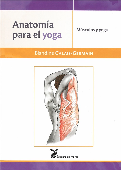 Anatomía para el Yoga. Músculos y yoga