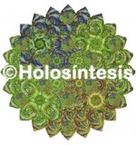 Medallón Holosíntesis Laxante