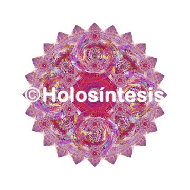 Medallón Holosíntesis Colesterol