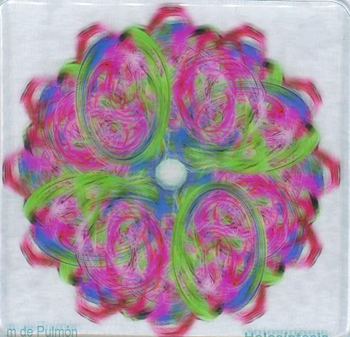 Adhesivo Holosíntesis Meridiano Pulmón