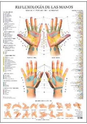 Poster Reflexología de las manos-Terápias Verdes