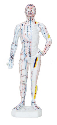 Cuerpo humano (caucho blando 26 cm) FA1002