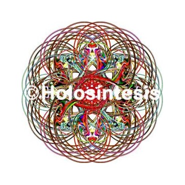 Adhesivo Adelgazar Holosintesis