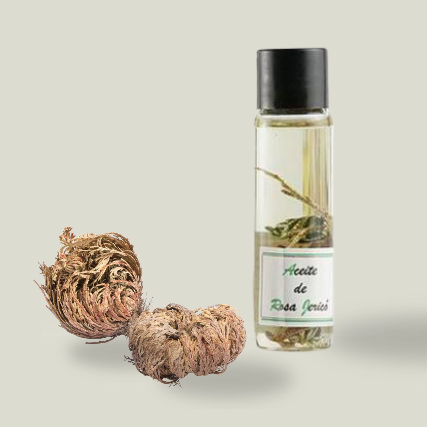 Aceite Rosa de Jericó-090509 -(15ml.)