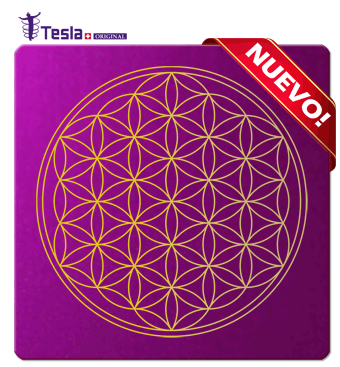 Gran Placa de Nikola Tesla Púrpura Flor de la vida