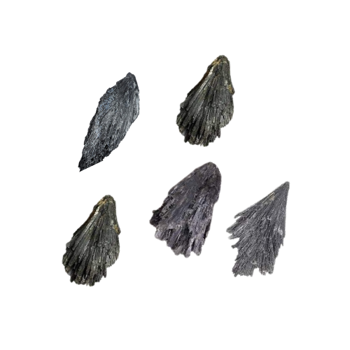 Cianita negra (Escoba de bruja)-13897