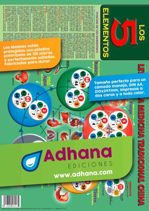 Lámina A4- Los 5 Elementos. Leyes de la medicina tradicional china A-4