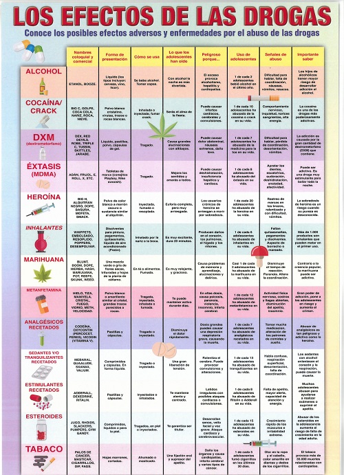 Lámina los efectos de las drogas A4