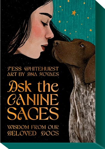 Ask the canine sages: Wisdom from our cherished cats