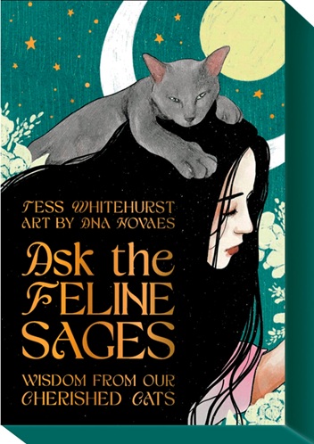 Ask the feline sages: Wisdom from our cherished cats