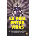 La vida entre vidas