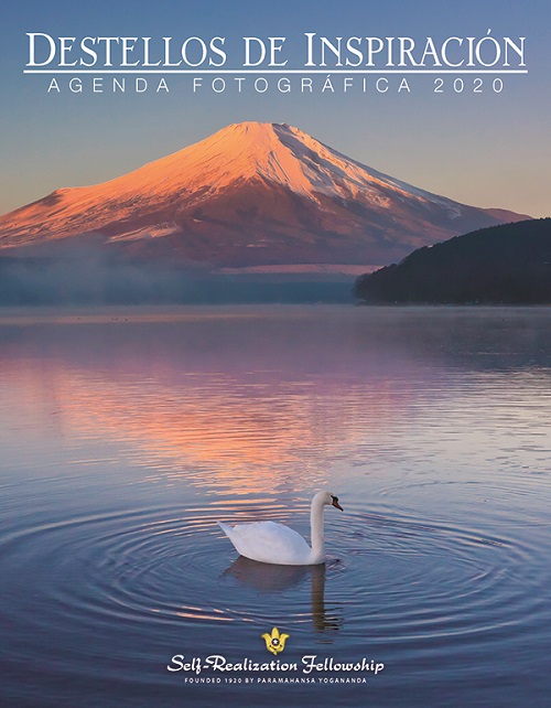 Agenda Destellos de Inspiracion 2020