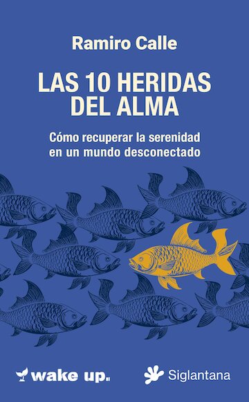 Las 10 heridas del alma