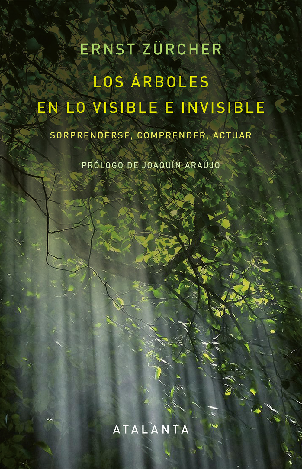 Los árboles en lo invisible e invisible