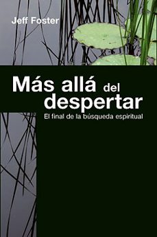 Más allá del despertar : el final de la búsqueda espiritual