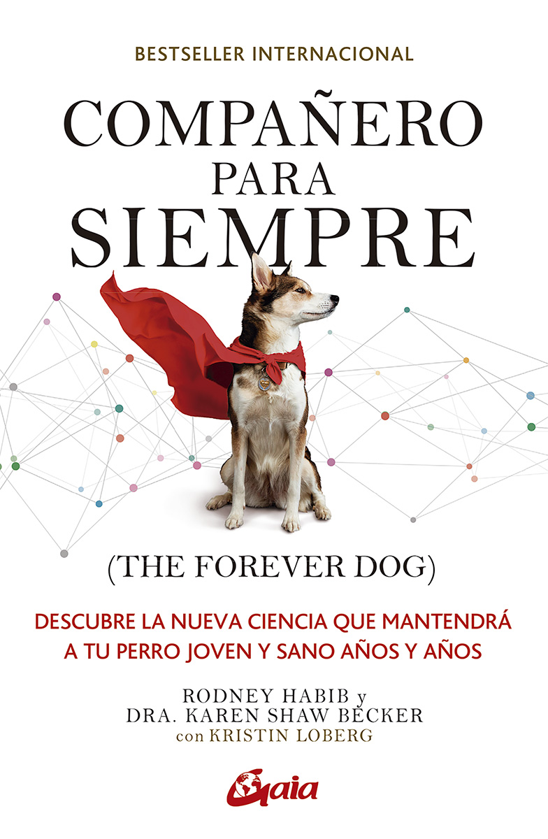 Compañero para siempre . ( The forever dog )