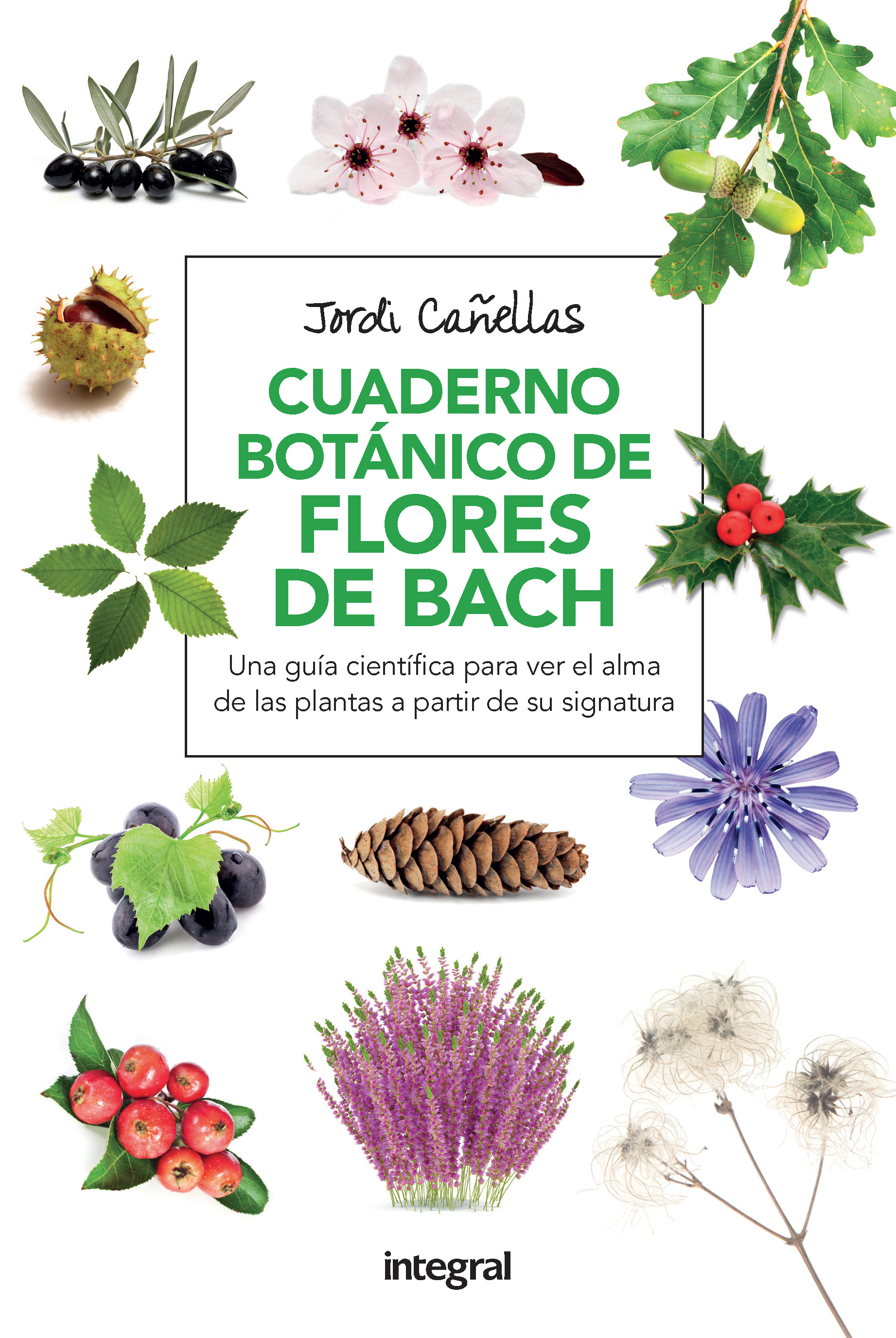 Cuaderno botánico de Flores de Bach