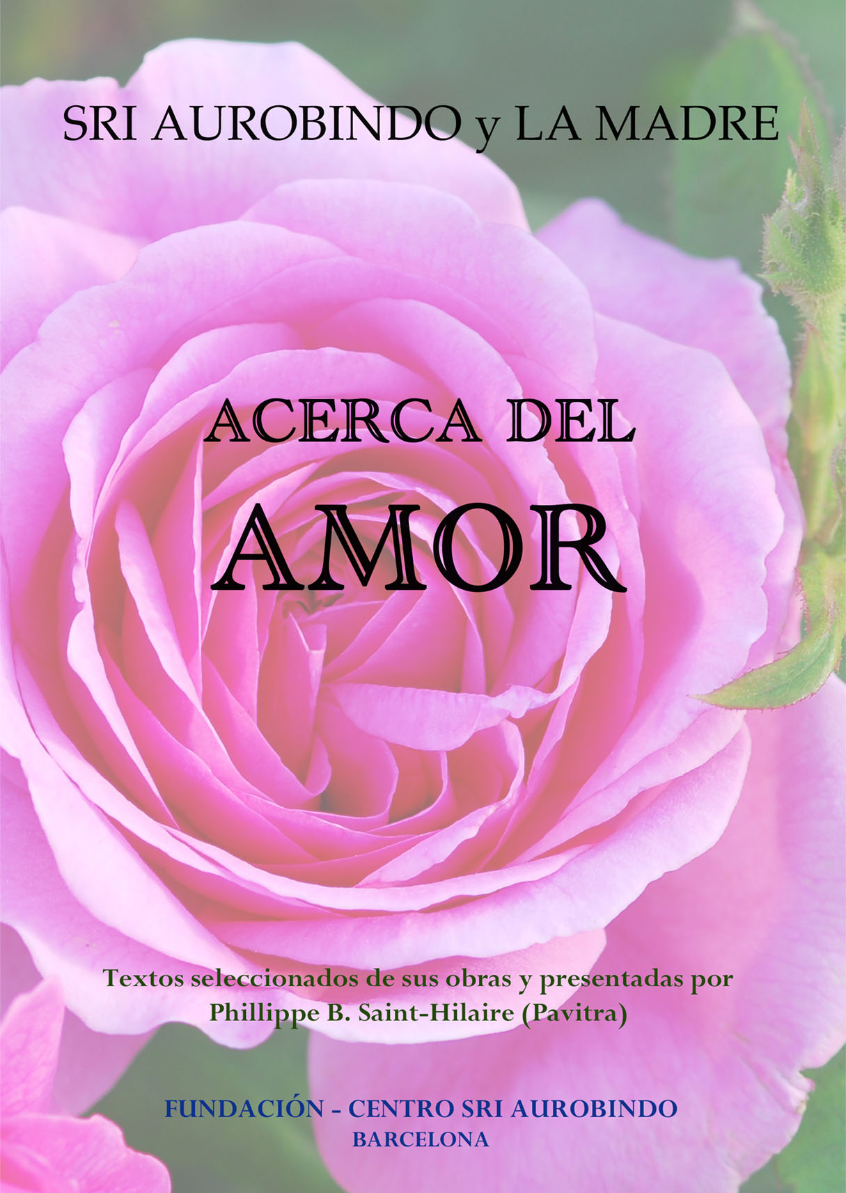 Acerca del amor