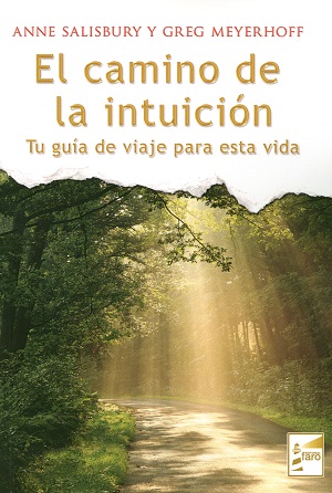 El camino de la intuición : tu guía de viaje para esta vida