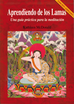 Aprendiendo de los lamas : una guía práctica para la meditación