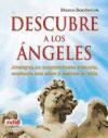 Descubre a los Ángeles