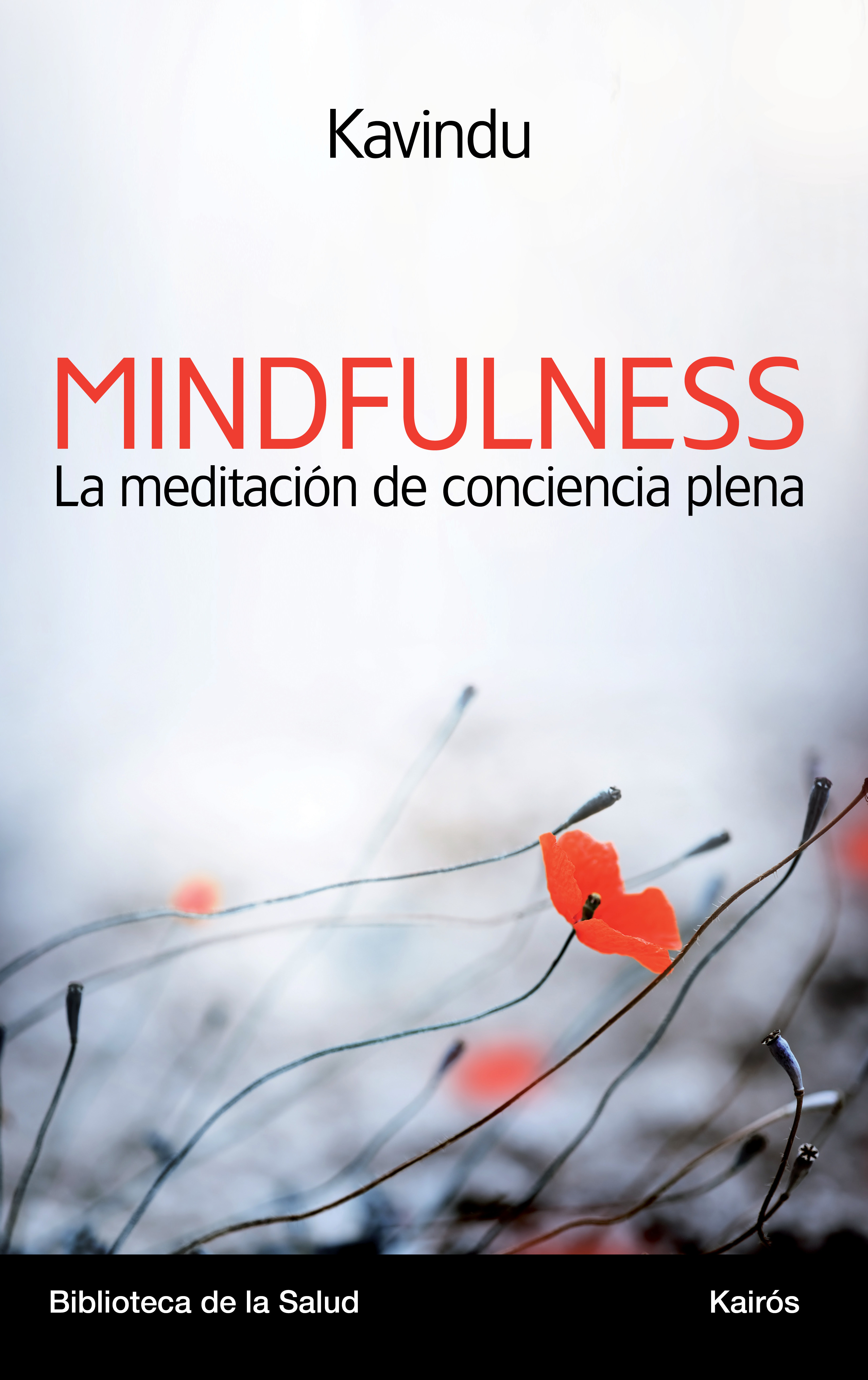 Mindfulness la meditación de conciencia plena : una aproximación contemporánea a la meditación budis