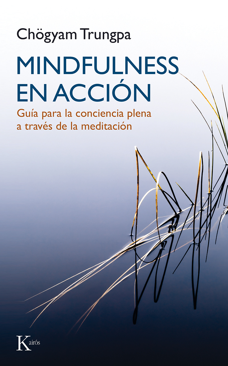 Mindfulness en acción : guía para la conciencia plena a través de la meditación