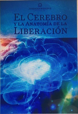 El cerebro y la anatomía de la liberación